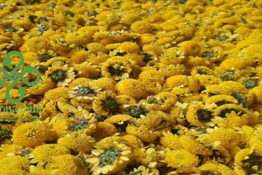 MUA TRÀ HOA CÚC  HÀ NỘI VÀ TOÀN QUỐC – Trà hoa cúc khô nguyên bông tự nhiên