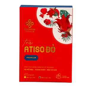 Trà Atiso đỏ Pyramid Econashine