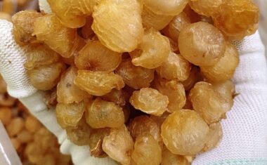Long Nhãn – Từ Vườn Đến Món Ăn Dân Dã Quen Thuộc