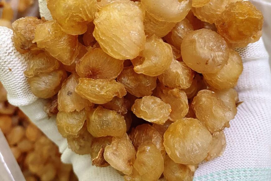 Long Nhãn – Từ Vườn Đến Món Ăn Dân Dã Quen Thuộc