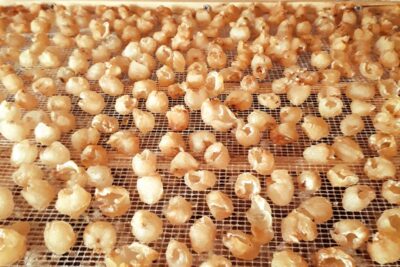 Mua long nhãn ở đâu? Chọn Econashine — Địa chỉ uy tín để an tâm thưởng thức