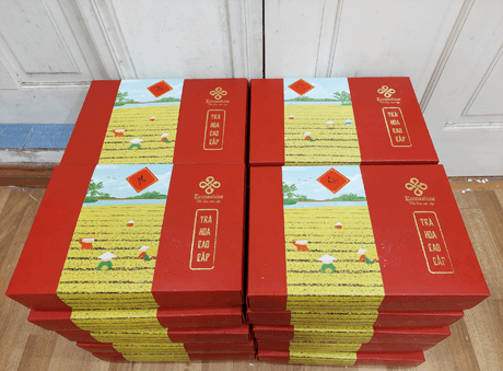 Thiet ke an tuong